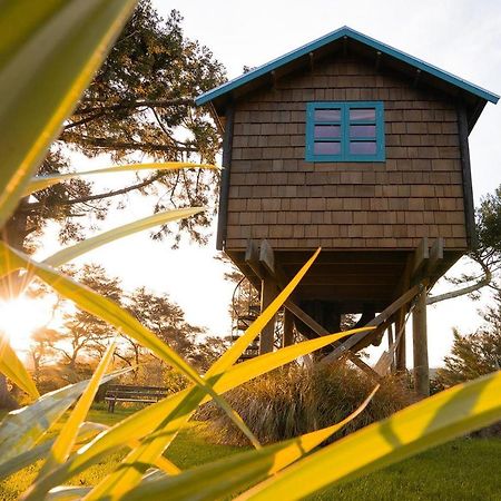 Tui Ridge Eco Cabins Aongatete Exteriör bild