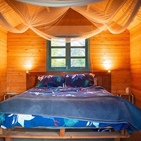 Tui Ridge Eco Cabins Aongatete Exteriör bild
