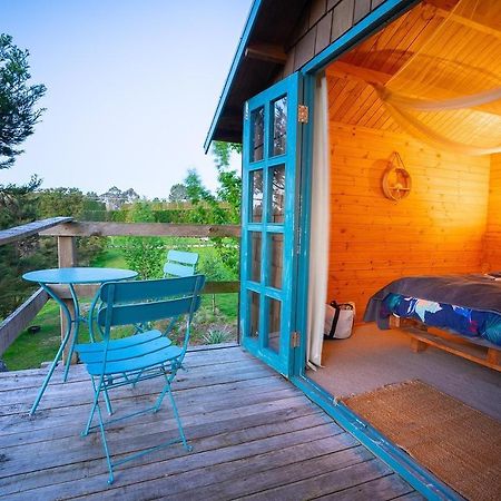 Tui Ridge Eco Cabins Aongatete Exteriör bild