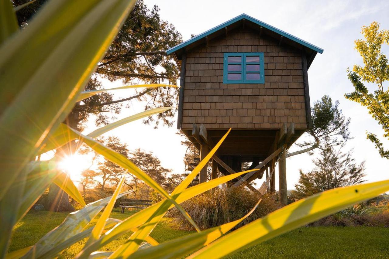 Tui Ridge Eco Cabins Aongatete Exteriör bild