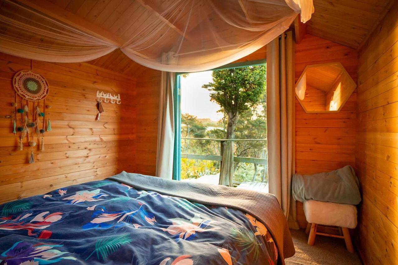 Tui Ridge Eco Cabins Aongatete Exteriör bild