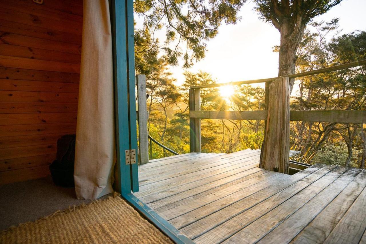 Tui Ridge Eco Cabins Aongatete Exteriör bild