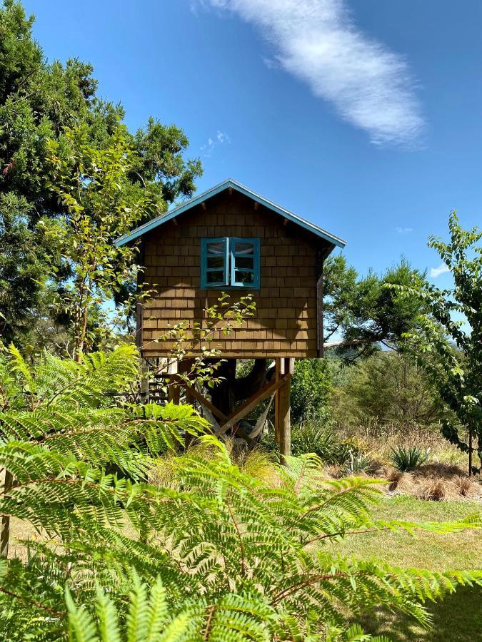 Tui Ridge Eco Cabins Aongatete Exteriör bild